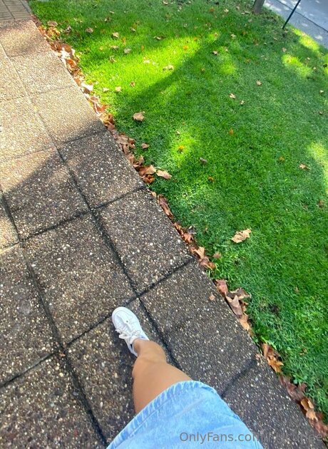 Ivycutiee hd pornstar galleries