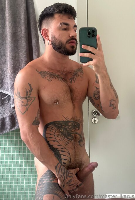 Master Ikarus model pretty pictures