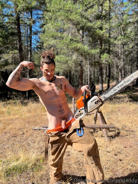 Trippd4ddy best model img