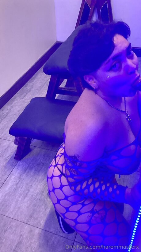 Haremmasterx erotic actress img