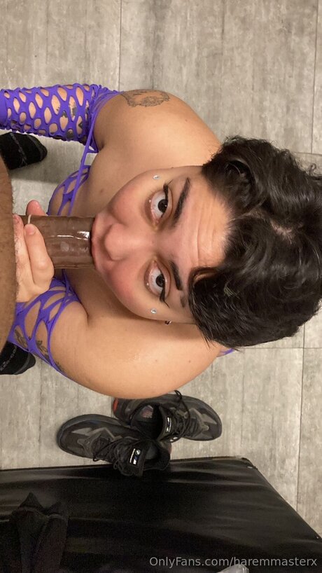 Haremmasterx top pornstar photos