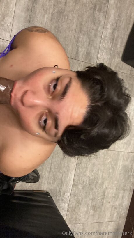 Haremmasterx pornstar high quality img