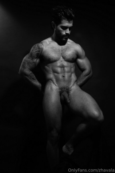 Zhavala star top img