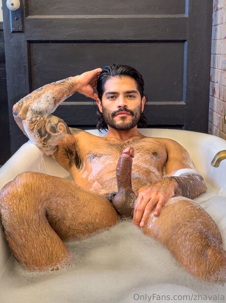 Zhavala erotic pornstar gallery