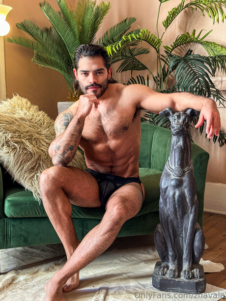 Zhavala nice star picture