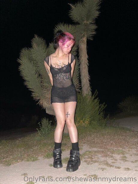 Shewasinmydreams pornstar high quality img