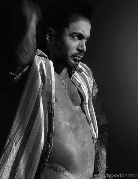 Brandonmor star exclusive gallery