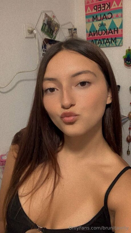 Brunitaonly pornstar art archive