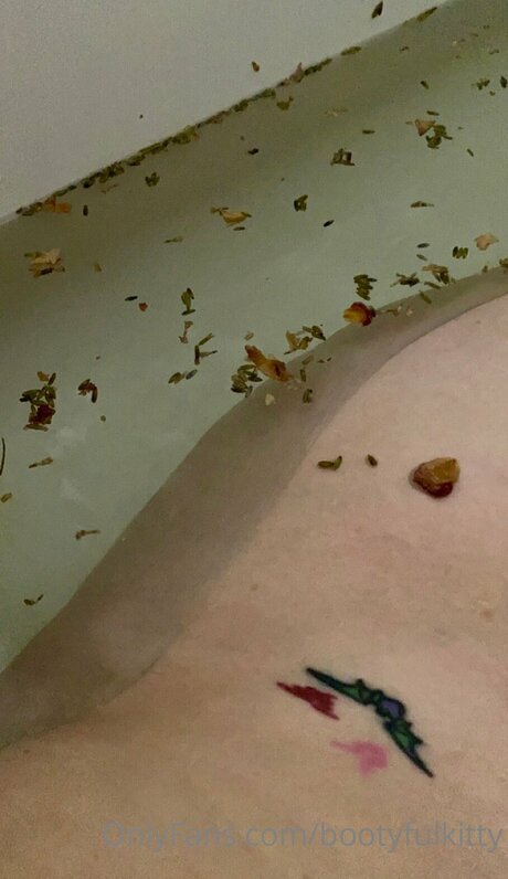 Bootyfulkitty star high quality picture