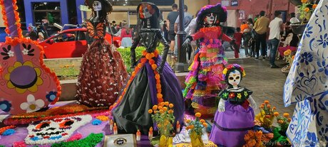 Alexrasec xxx model galleries