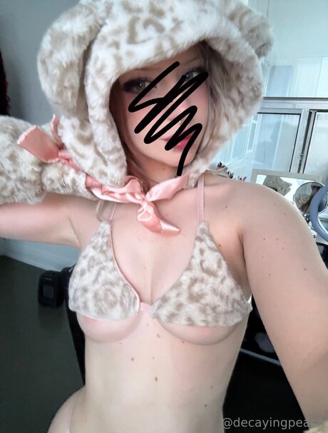 Decayingpeach art model archive