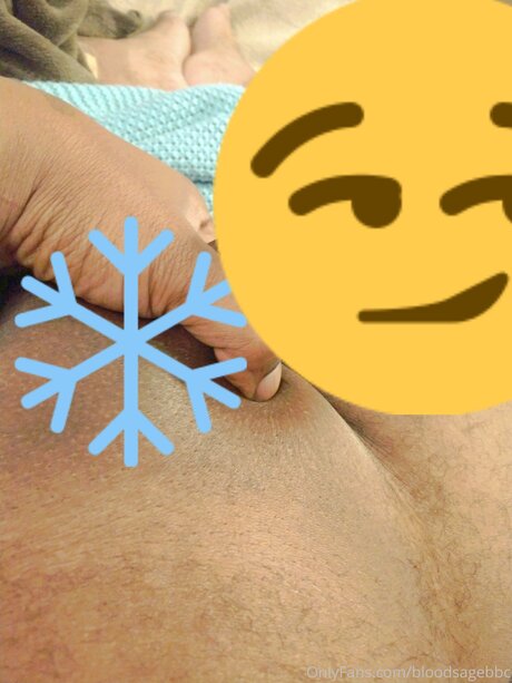 Bloodsagebbc top star photos