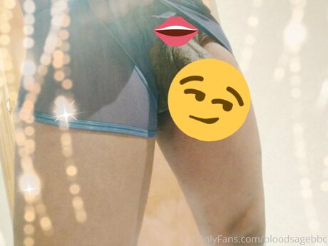 Bloodsagebbc pretty pornstar pictures