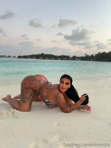 Elliechloe pornstar high quality photo