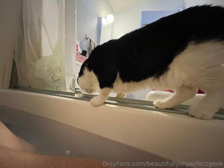 Beautifullyimperfectgeek star hot pic