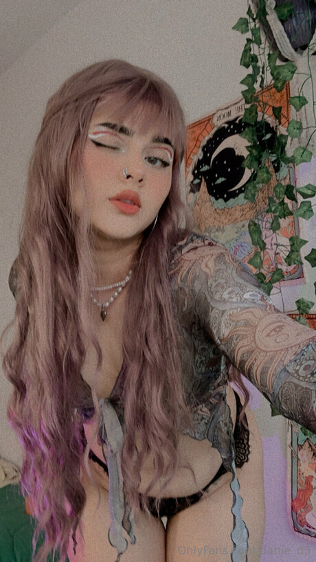 Danie D3 art star galleries