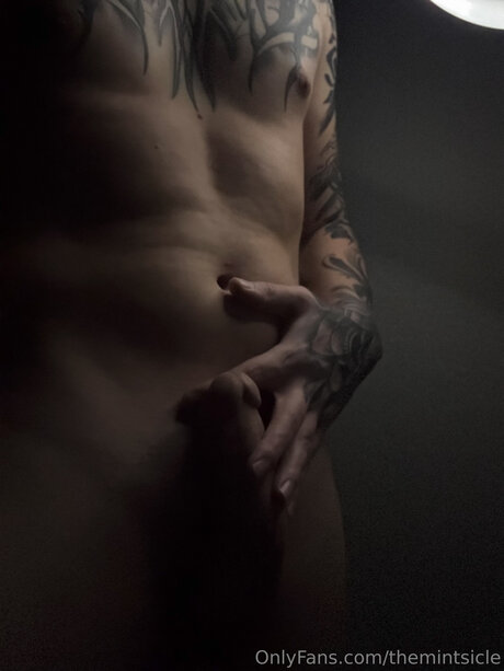 Themintsicle model porn pic