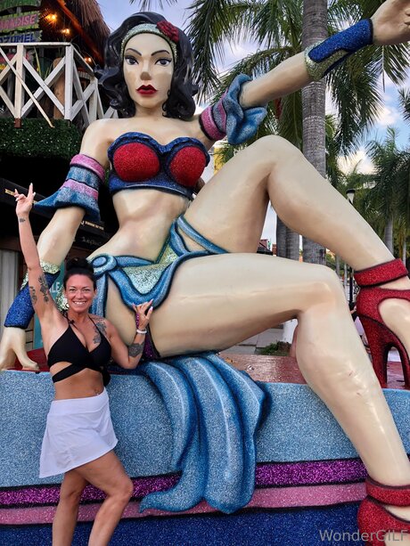 Wondergilf star top image