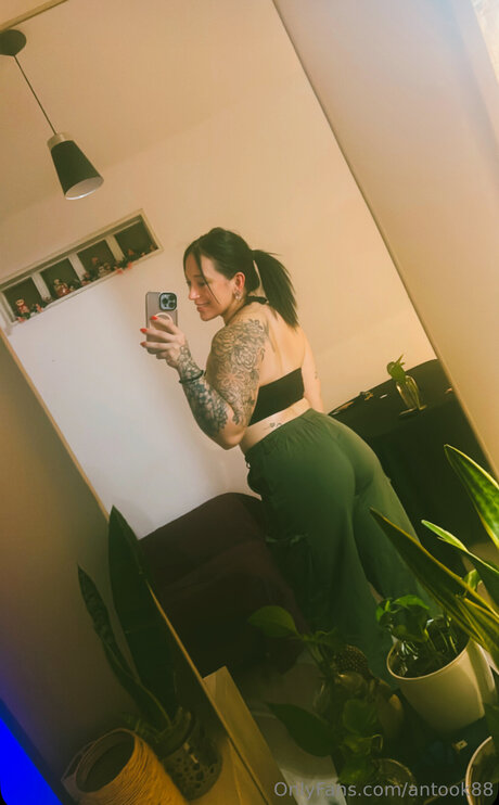 Antook88 star porn img