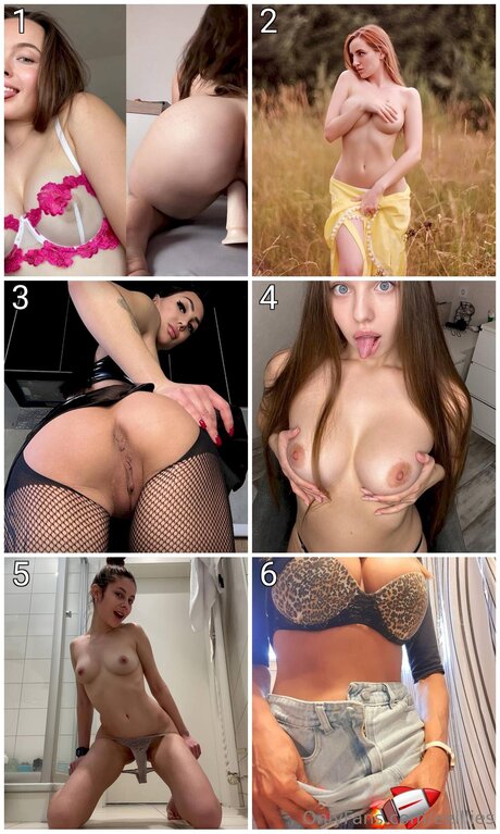 Eelllies perfect star image