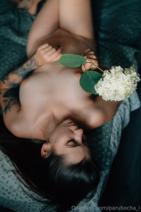 Parubocha I star nice image