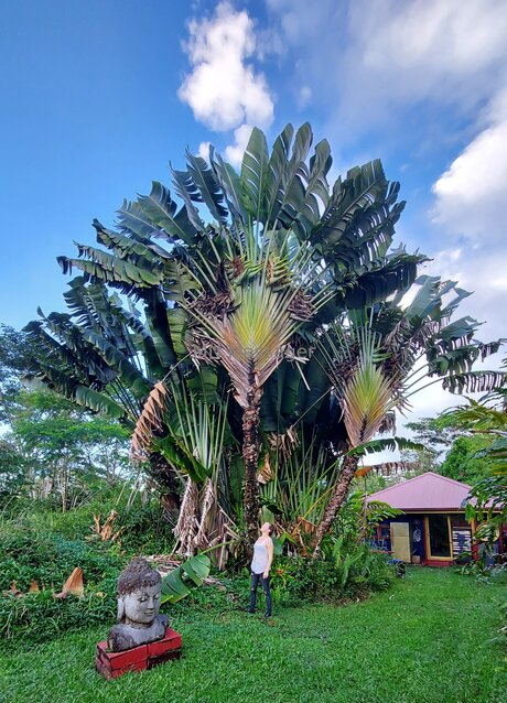 Mnmassager pornstar hot gallery