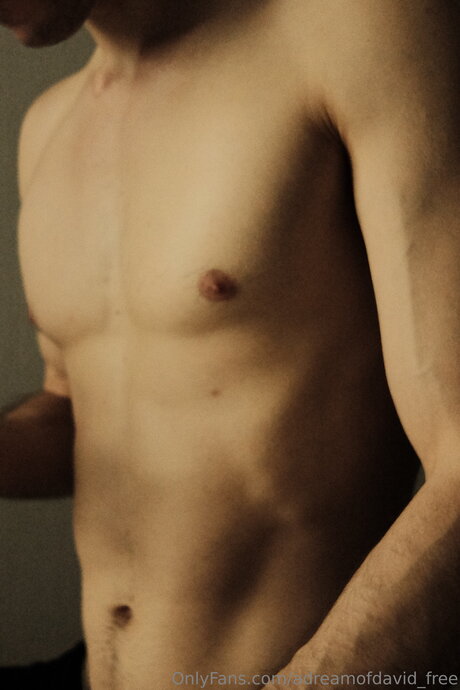 Adreamofdavid Free pornstar perfect img