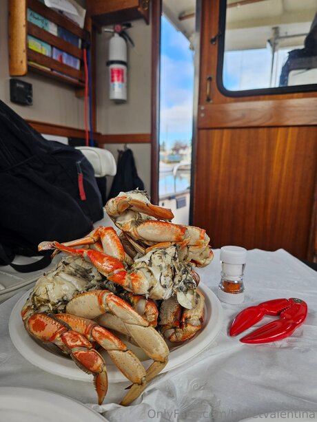 Bulletvalentina star xxx galleries