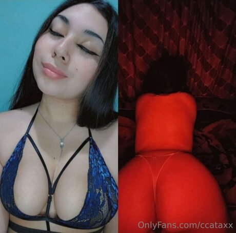 Ccataxx thumbnail