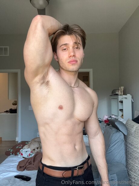 Aaronaesthetics nude pornstar galleries