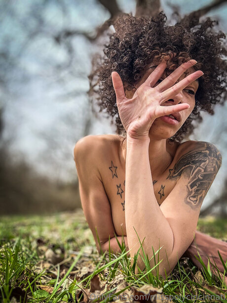 Misspolycincinnati star nudes img