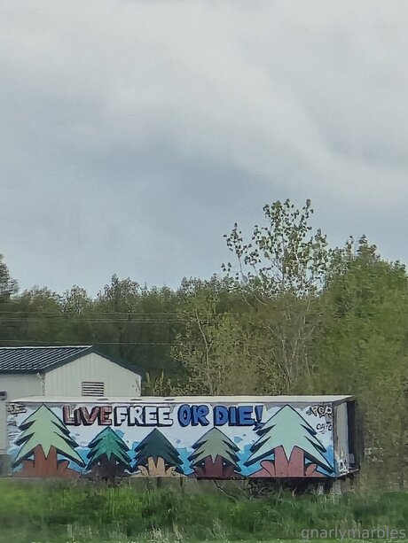 Gnarlymarbles nude star picture