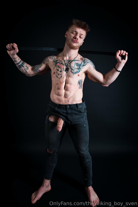 The Viking Boy Sven art star galleries