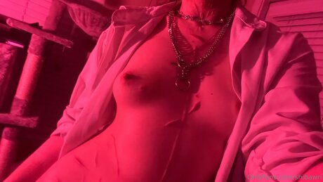 Shibawri exclusive star image