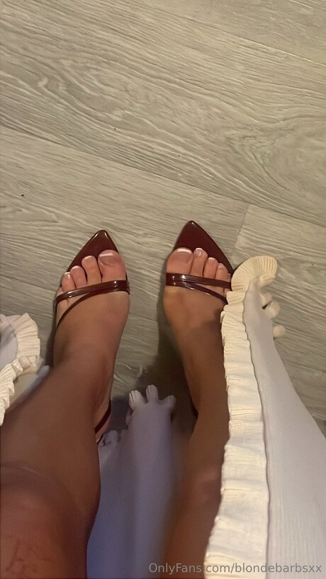 Blondebarbsxx top model image