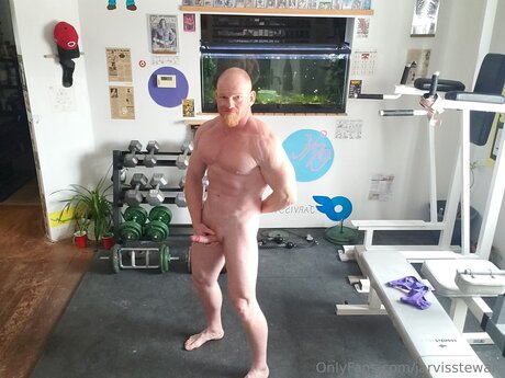 Jarvisstewart star beautiful image