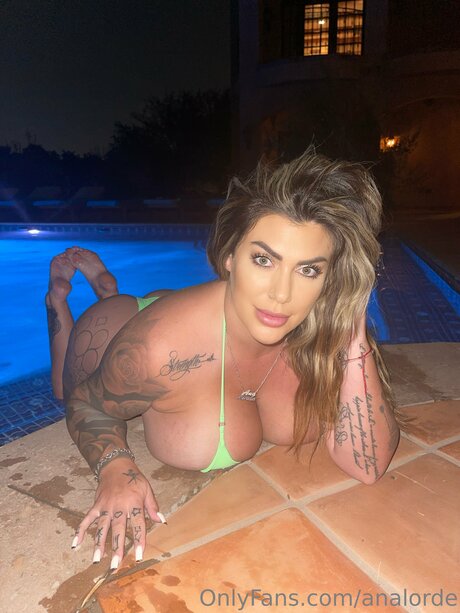 Analorde hd model picture