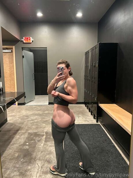 Tinygympawg pornstar adult images