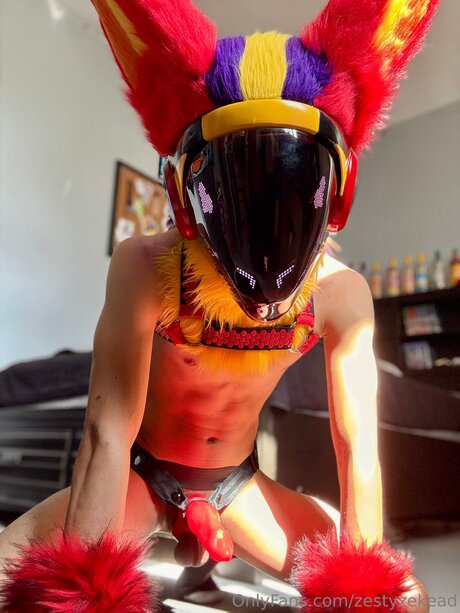 Zestyzekead star adult archive