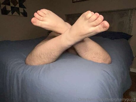 Thebighairyguy2 art star gallery