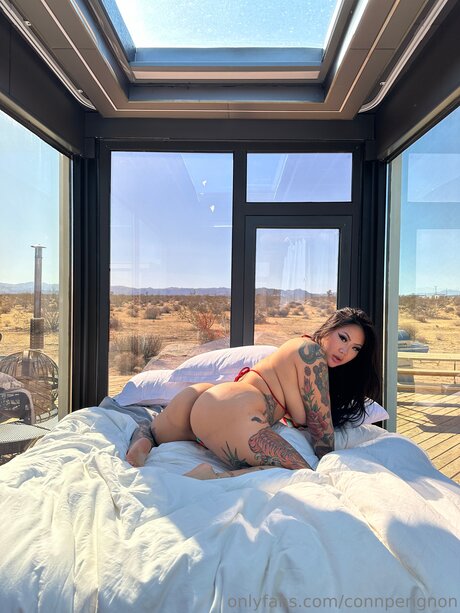 Connperignon star erotic pic