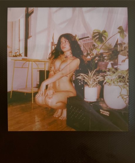 Spicymarii Lilfairymari pornographic model images