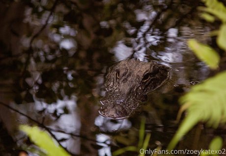 zoeykatexo2 sex actress pictures