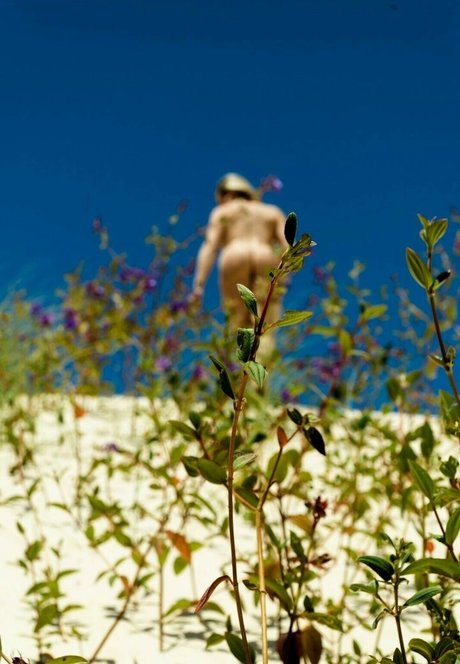 Aline Hirth pornographic star galleries