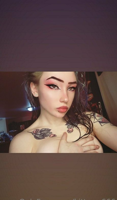 kitten 666 star nice pictures