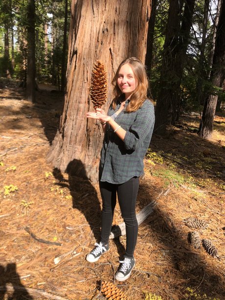 Caliwife13 Emma North pornstar sexy photo