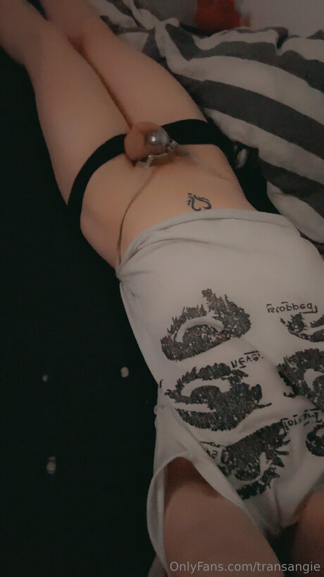 Transangie pornographic model photo