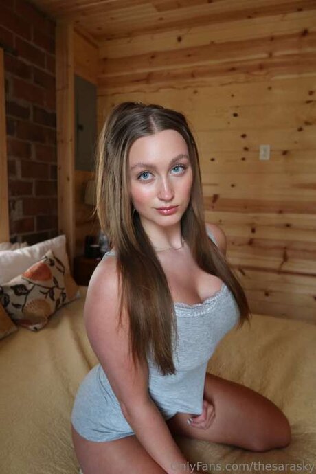 Thesarasky model top img