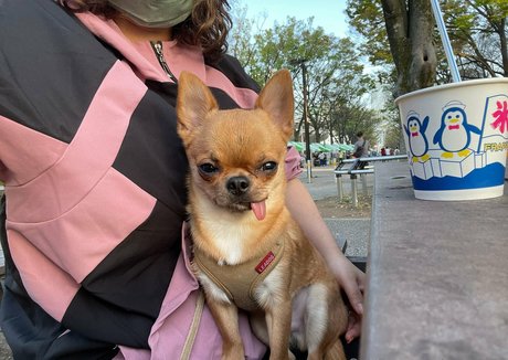 bbc pregnant onlyfans pornographic galleries