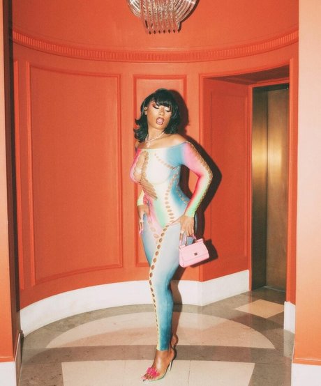 Megan Thee Stallion star pornographic photos
